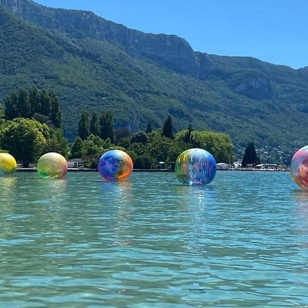 Ravissant T2 - Le Temps D'Une Pause Appartamento Annecy Esterno foto